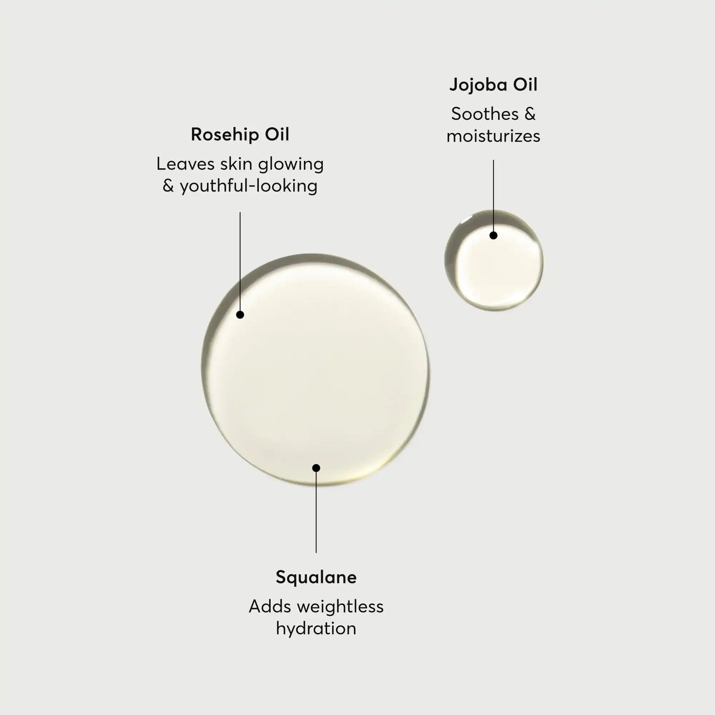 the-glow-getter-body-oil-r0 NATR-10115-Alt-Images-The-Glow-Getter-Body-Oil-01.webp