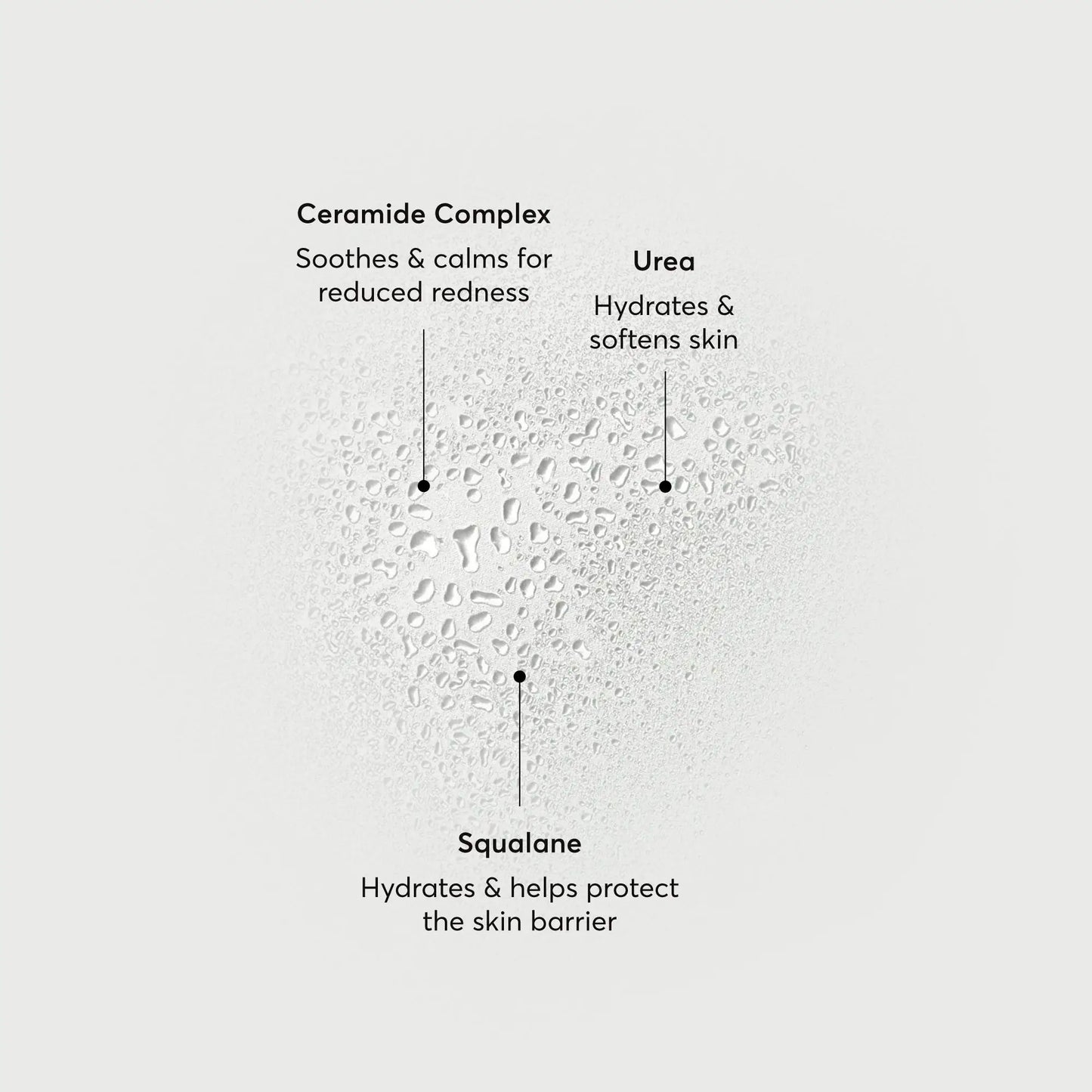 barrier-bounce-bi-phase-mist-e5 NATR-10167-Alt-Images-Barrier-Bounce-Bi-Phase-Toner-Mist_01.webp