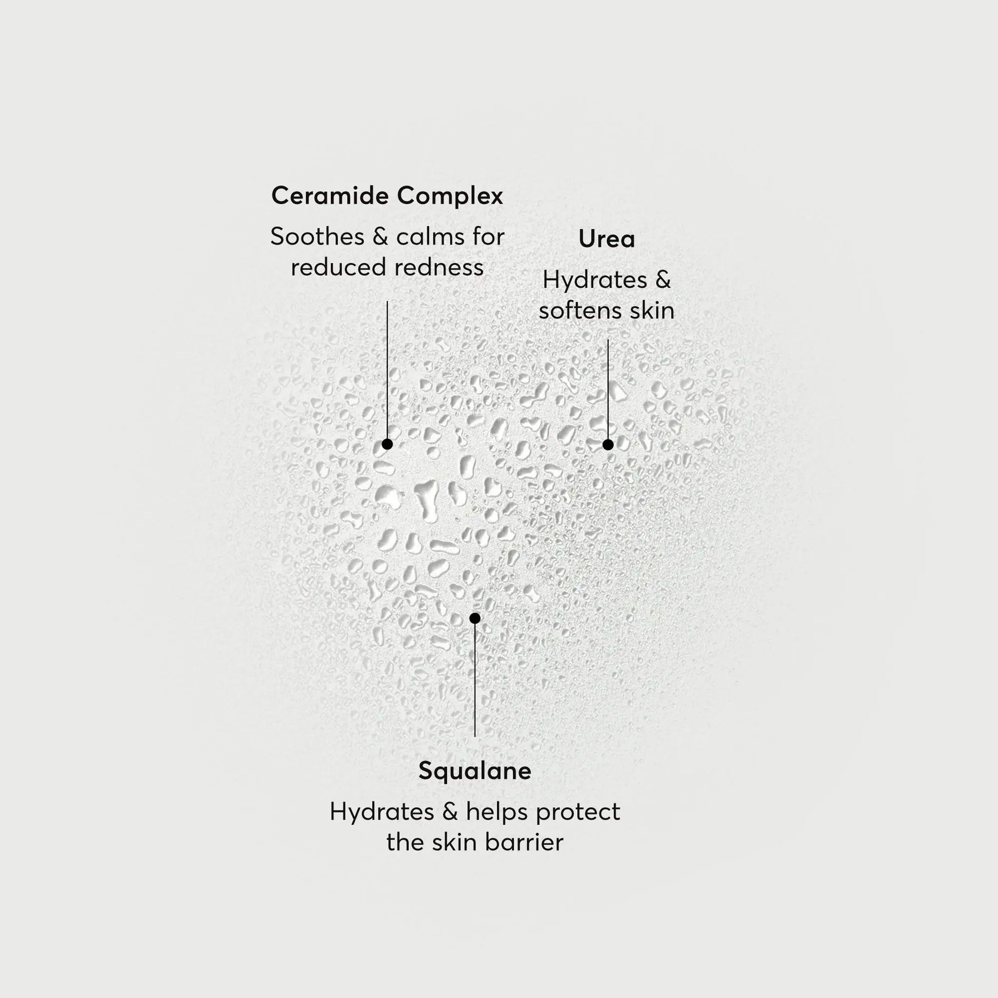 barrier-bounce-bi-phase-mist-e5 NATR-10167-Alt-Images-Barrier-Bounce-Bi-Phase-Toner-Mist_01.webp