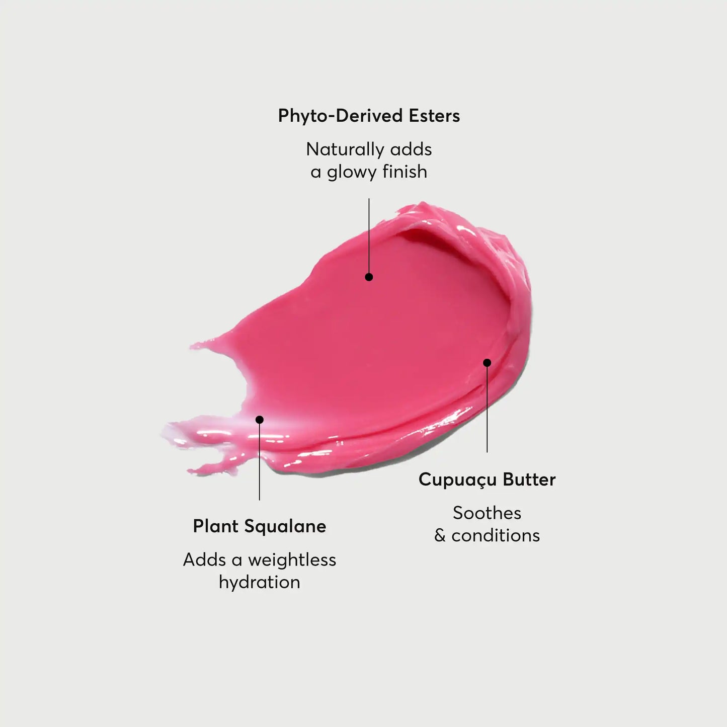 phyto-glow-lip-balm-camellia-g4 NATR-60075-Alt-Images-Phyto-Glow-Lip-Balm-Camellia-01.webp